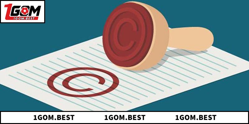 Tổng quan về bản quyền 1GOM