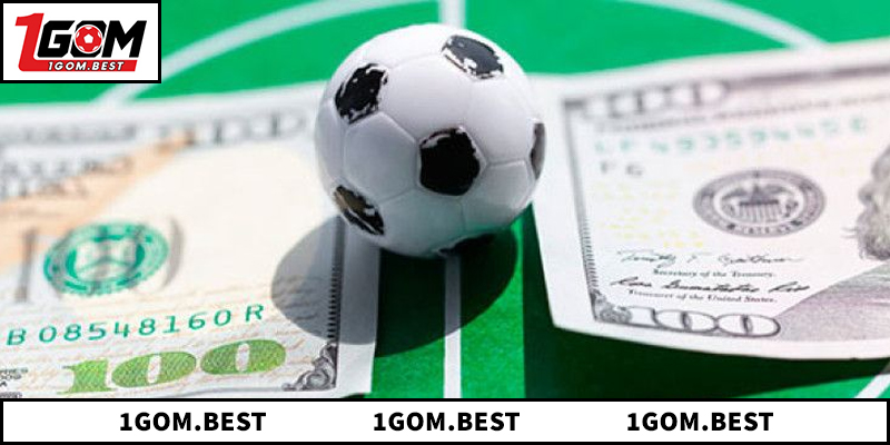 Ưu điểm to lớn khi tìm hiểu giới thiệu 1GOM